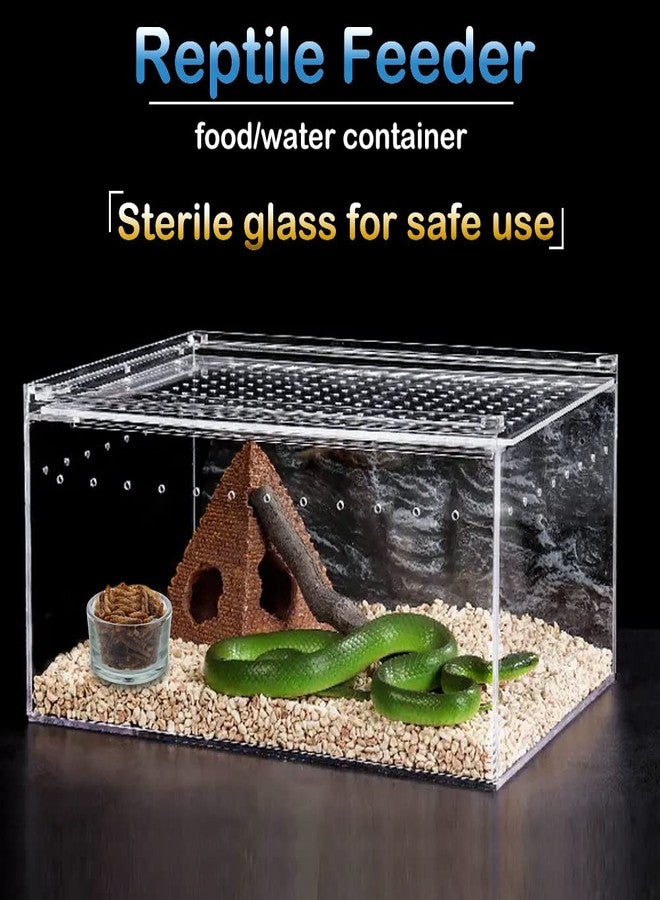 DQITJ 6 Pcs Glass Reptile Feeding Bowl Food Basin Tray Container Water Dish Cup for Small Reptile Lizard Spider Corn Snake Scorpion Centipede Crickets - Image 2